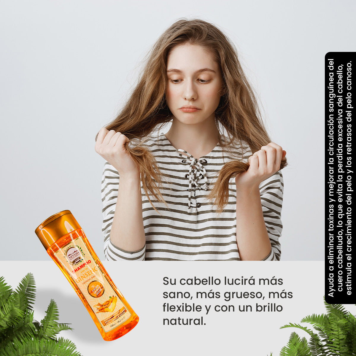 Shampoo Ginseng - Nevada 420Ml