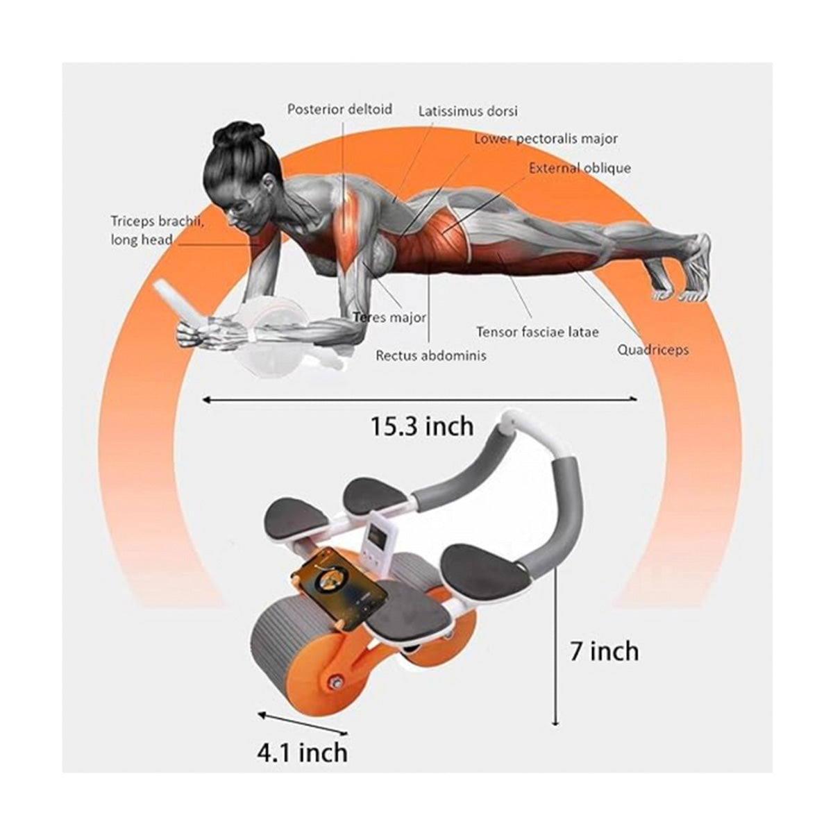 RUEDA ABDOMINAL CON TABLERO ANALÓGICO Y DOBLE APOYO