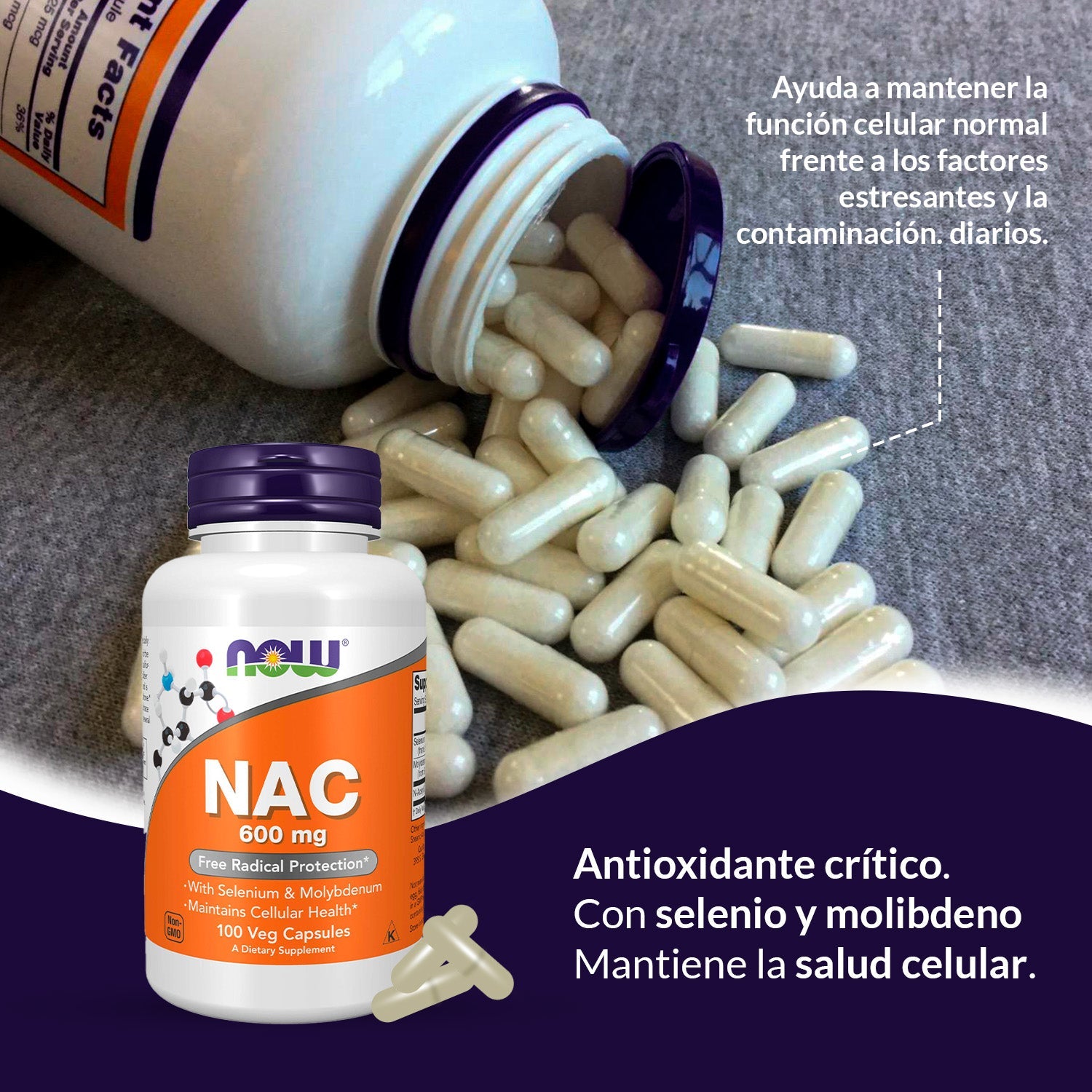 Cápsulas vegetarianas NAC 600 mg - NOW Foods